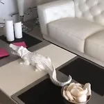 Les Pieds Dans L Eau, Vue Sur Les Iles D'or * Hyères